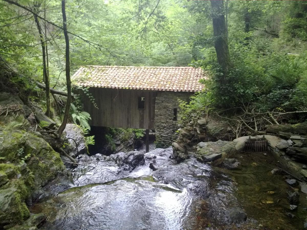 Apartamentos Mendebaldea Suites Pamplona Esterno foto